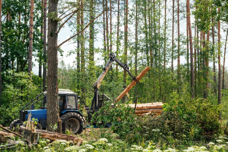 Increase Your Land Clearing Business with an AI Driven, Targeted Website
