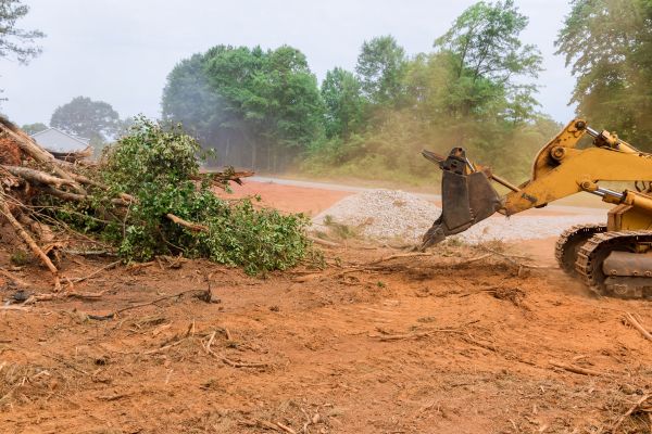 Ground Clearing in Grass Valley