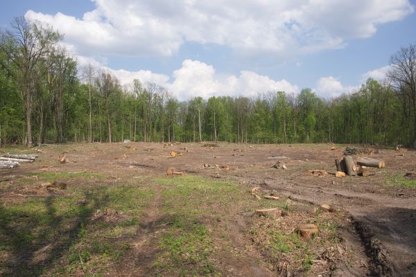 Cost of Pasture Clearing in Grass Valley