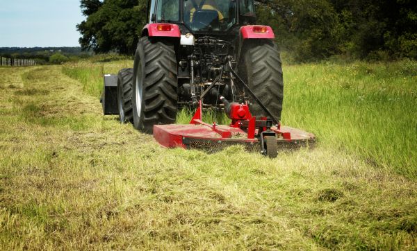 Brush Clearing Service in Grass Valley