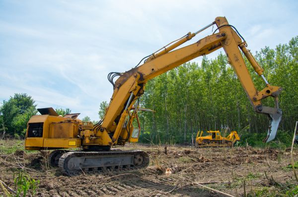 Cost of Farm Clearing in Grass Valley