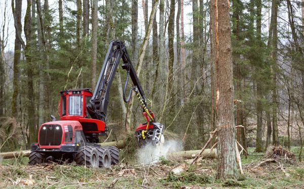 Cost of Forest Clearance Service in Grass Valley