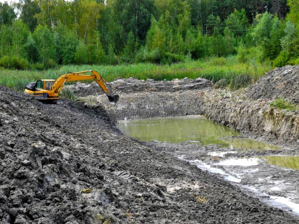 Cost of Lake Lot Clearing in Grass Valley