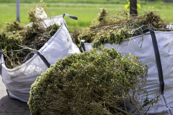 Cost of Bushes Clearing in Grass Valley
