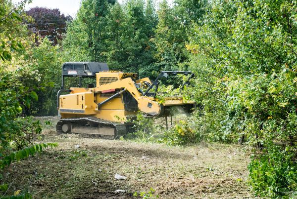 Cost of Pathway Clearing in Grass Valley