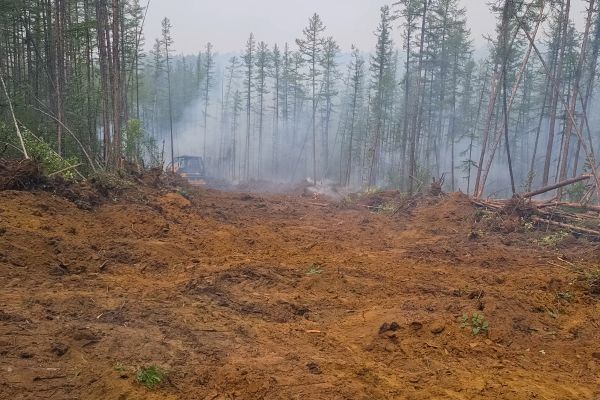 Cost of Hill Clearing in Grass Valley