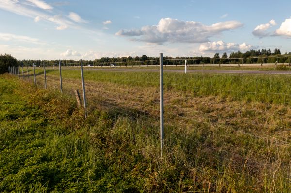 Cost of Property Line Clearing in Grass Valley