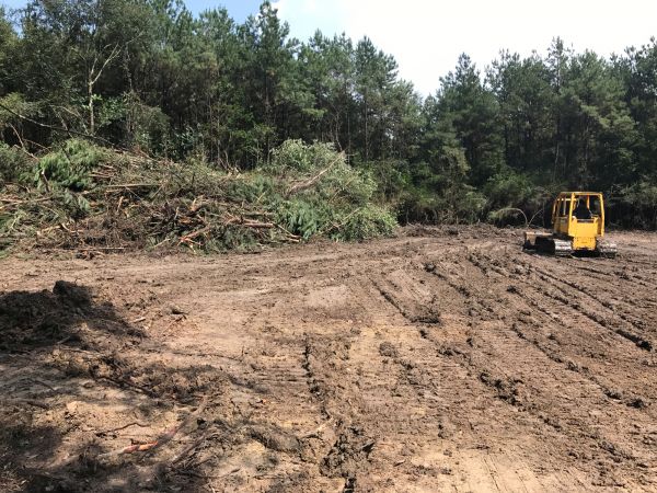 Cost of Thicket Clearing in Grass Valley