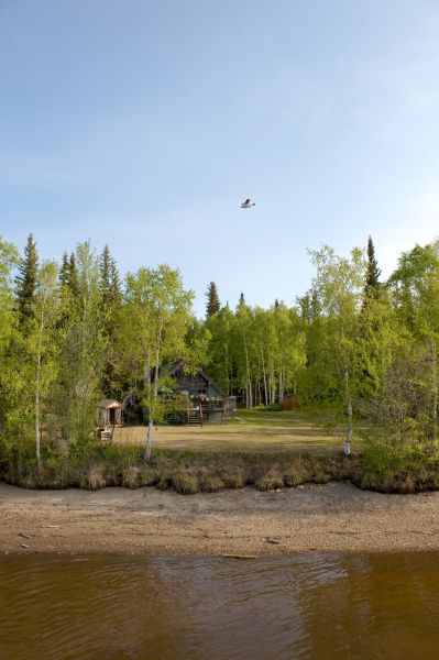 Cost of Waterfront Land Clearing in Grass Valley