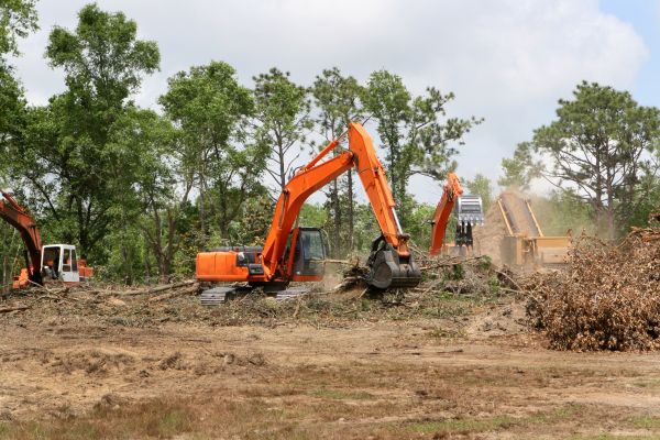 Cost of Commercial Lot Clearing in Grass Valley
