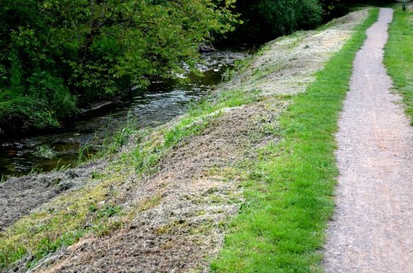 Cost of Trail Cutting in Grass Valley